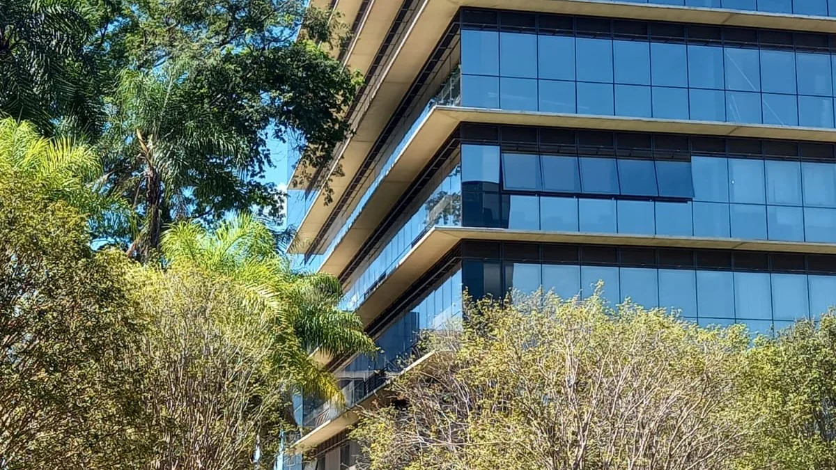 Torre de vidro do Georgina Business Park, em Rio Preto, vista entre as árvores