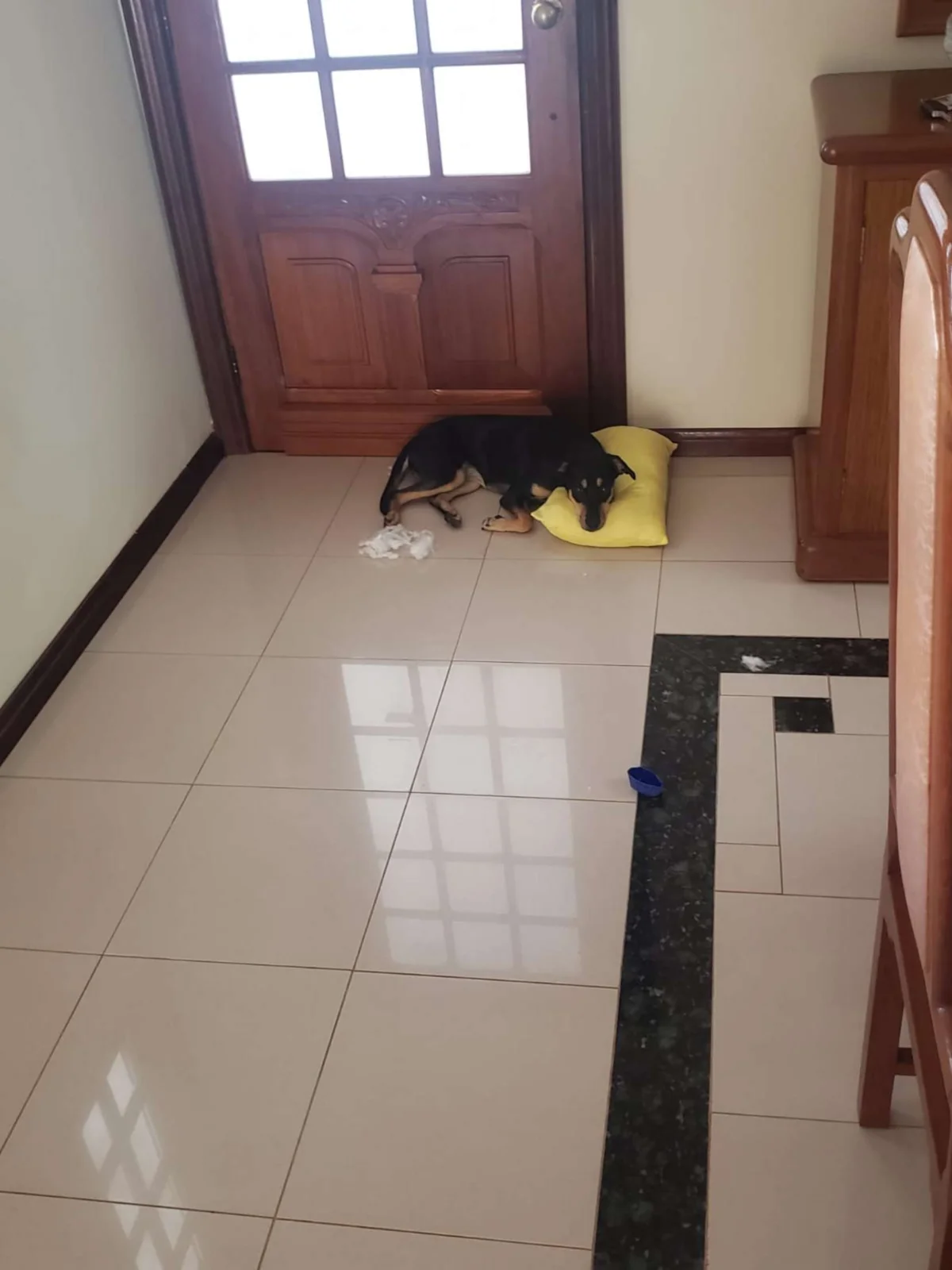 Sobrado Condomínio Recanto Real, foto 3